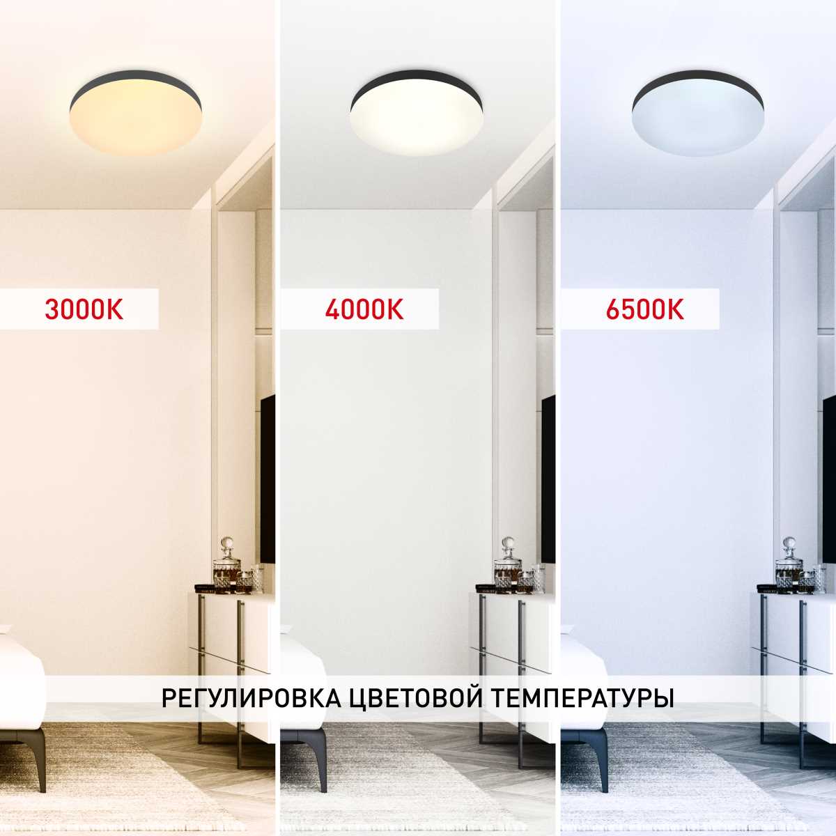 фото светильник потолочный светодиодный эра классик с ду relict 48 pult spb-6-60-rc bk 60w 3000-6500k черный б0059497 | 220svet.ru