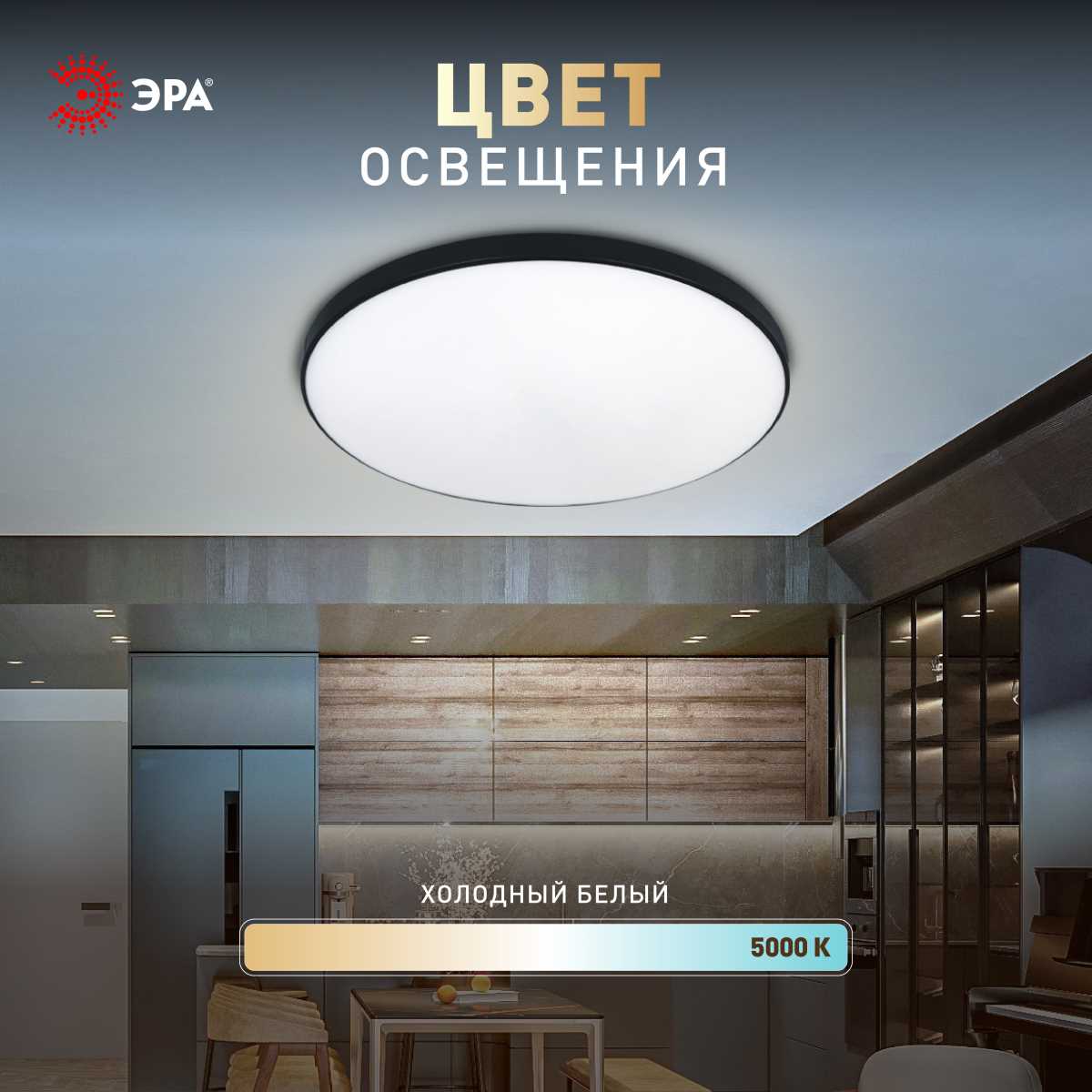 фото светильник потолочный светодиодный эра классик без ду spb-6 slim base bk 45w-5k 5000к б0069775 | 220svet.ru