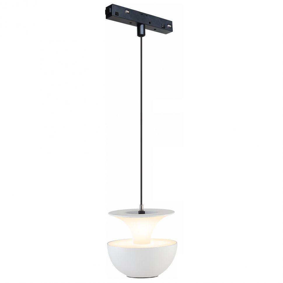фото трековый магнитный светодиодный светильник iledex technical vision 4822-012-d80-6w-38dg-3000k-wh | 220svet.ru