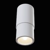 Миниатюра фото потолочный светильник maytoni sonas c033wl-01w | 220svet.ru