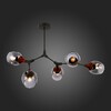 Миниатюра фото потолочная люстра evoluce ciotolla sle113402-05 | 220svet.ru