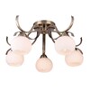 Миниатюра фото люстра toplight tl3750x-05ab | 220svet.ru