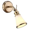 Миниатюра фото спот arte lamp 81 a9231ap-1ab | 220svet.ru