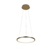 Миниатюра фото подвесной светильник loft it ring 10014s | 220svet.ru
