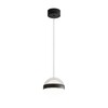 Миниатюра фото подвесной светодиодный светильник odeon light roni 5075/12l черный | 220svet.ru
