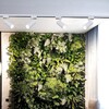 Миниатюра фото трековый светильник reluce 06620-9.3-001qy led20w wt | 220svet.ru