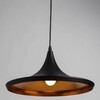 Миниатюра фото подвесной светильник arte lamp cappello a3406sp-1bk | 220svet.ru