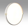 Миниатюра фото настенно-потолочный светодиодный светильник sonex olidi white 7646/dl белый | 220svet.ru