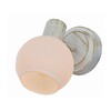 Миниатюра фото спот toplight selena tl3710y-01wg | 220svet.ru