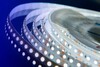 Миниатюра фото влагозащищенная лента designled 9,6w/m 120led/m 3528smd холодный белый 5m 000525 | 220svet.ru