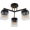 Миниатюра фото потолочная люстра rivoli isadora 9133-303 б0054750 | 220svet.ru