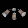 Миниатюра фото потолочная люстра evoluce maleonte sle103002-03 | 220svet.ru
