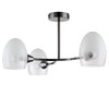 Миниатюра фото потолочная люстра lumion kendall 6513/3c | 220svet.ru