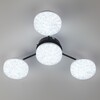 Миниатюра фото потолочная светодиодная люстра с пультом ду lumion didana 8236/4cl черный | 220svet.ru