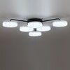 Миниатюра фото потолочная светодиодная люстра с пультом ду lumion didana 8236/6cl черный | 220svet.ru
