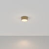 Миниатюра фото потолочный светодиодный светильник maytoni zon c032cl-12w3k-rd-mg | 220svet.ru