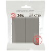 Миниатюра фото выключатель эра arktik 16-1104-07 двойной 10ах-250в титан б0070350 | 220svet.ru