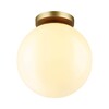 Миниатюра фото потолочный светильник odeon light bosco 4248/1c | 220svet.ru