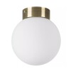 Миниатюра фото настенно-потолочный светильник lightstar globo 812011 | 220svet.ru