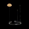 Миниатюра фото подвесной светодиодный светильник loft it ring 10025/400 black | 220svet.ru