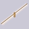 Миниатюра фото подсветка для картин arte lamp a2028ap-1go | 220svet.ru