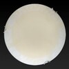 Миниатюра фото настенно-потолочный светодиодный светильник toplight tl9620y-00wh | 220svet.ru