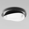 Миниатюра фото потолочный светильник loft it petale 10256 black | 220svet.ru