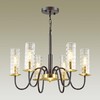 Миниатюра фото подвесная люстра lumion sheila 3781/6 | 220svet.ru