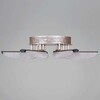 Миниатюра фото потолочный светильник reluce 00490-0.3-06s champagne silver | 220svet.ru