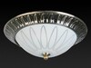 Миниатюра фото накладной светильник toplight paulina tl5050y-02ab | 220svet.ru