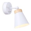 Миниатюра фото спот ambrella light traditional tr8213 | 220svet.ru