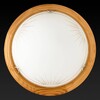 Миниатюра фото настенный светильник toplight wifa tl9144y-02pn | 220svet.ru