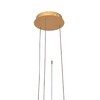 Миниатюра фото подвесной светодиодный светильник loft it ring 10017/3s | 220svet.ru