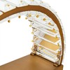 Миниатюра фото настенный светодиодный светильник divinare renata 1135/17 ap-10 | 220svet.ru