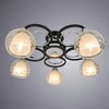 Миниатюра фото потолочная люстра arte lamp ginevra a1604pl-5bk | 220svet.ru