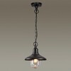 Миниатюра фото уличный подвесной светильник odeon light campa 4965/1 | 220svet.ru