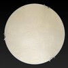 Миниатюра фото настенно-потолочный светодиодный светильник toplight jane tl9640y-00wh | 220svet.ru