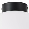 Миниатюра фото настенно-потолочный светильник lightstar globo 812037 | 220svet.ru