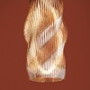 Миниатюра фото подвесной светильник freya curl fr5624pl-l9cg | 220svet.ru