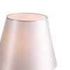 Миниатюра фото настольная лампа st luce опал sl1403.304.01 | 220svet.ru