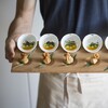 Миниатюра фото поднос cookplay 20205c | 220svet.ru