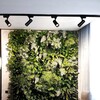 Миниатюра фото трековый светильник reluce 06612-9.3-001qy led12w bk | 220svet.ru