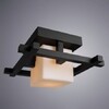 Миниатюра фото потолочный светильник arte lamp 95 a8252pl-1ck | 220svet.ru
