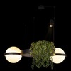 Миниатюра фото подвесной светильник loft it jardin 10121/2 dark grey | 220svet.ru