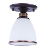 Миниатюра фото потолочный светильник arte lamp bonito a9518pl-1ba | 220svet.ru