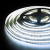 Миниатюра фото светодиодная лента elektrostandard 24w/m 240led/m 2835smd холодный белый 5m a050176 | 220svet.ru
