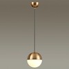 Миниатюра фото подвесной светильник odeon light pinga 4960/1 | 220svet.ru