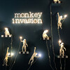 Миниатюра фото абажур monkey seletti | 220svet.ru