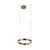 Миниатюра фото подвесной светильник loft it ring 10013s | 220svet.ru