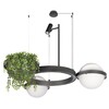 Миниатюра фото подвесной светильник loft it jardin 10121/2 dark grey | 220svet.ru